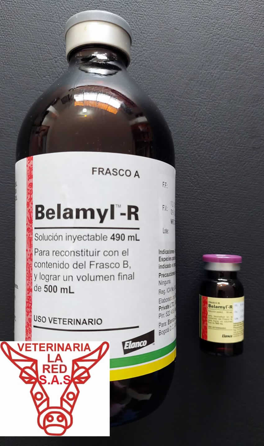 Belamyl-R